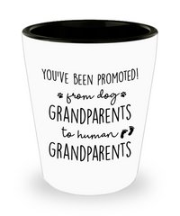 Funny Pregnancy Reveal Shot Glass You've Been Promoted From Dog To Human Grandparents