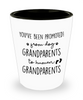 Funny Pregnancy Reveal Shot Glass You've Been Promoted From Dog To Human Grandparents
