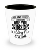Funny Adult Humor Shot Glass You Have To Just Take It One Are You Fcking Kidding Me At A Time