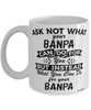 Funny Banpa Mug Ask Not What Your Banpa Can Do For You Coffee Cup 11oz 15oz White