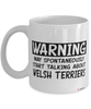Funny Welsh Terrier Mug Warning May Spontaneously Start Talking About Welsh Terriers Coffee Cup White