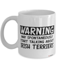 Funny Irish Terrier Mug Warning May Spontaneously Start Talking About Irish Terriers Coffee Cup White