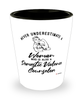 Domestic Violence Counselor Shotglass Never Underestimate A Woman Who Is Also A Domestic Violence Counselor Shot Glass