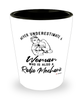 Radio Mechanic Shotglass Never Underestimate A Woman Who Is Also A Radio Mechanic Shot Glass
