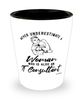 IT Consultant Shotglass Never Underestimate A Woman Who Is Also An IT Consultant Shot Glass