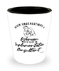 Implementation Consultant Shotglass Never Underestimate A Woman Who Is Also An Implementation Consultant Shot Glass