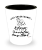 Innovation Consultant Shotglass Never Underestimate A Woman Who Is Also An Innovation Consultant Shot Glass