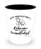 Neuropathologist Shotglass Never Underestimate A Woman Who Is Also A Neuropathologist Shot Glass