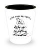 Lighting Architect Shotglass Never Underestimate A Woman Who Is Also A Lighting Architect Shot Glass