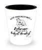 Budget Analyst Shotglass Never Underestimate A Woman Who Is Also A Budget Analyst Shot Glass