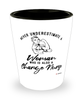 Charge Nurse Shotglass Never Underestimate A Woman Who Is Also A Charge Nurse Shot Glass