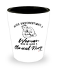 Clinical Nurse Shotglass Never Underestimate A Woman Who Is Also A Clinical Nurse Shot Glass