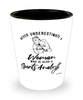 Sports Analyst Shotglass Never Underestimate A Woman Who Is Also A Sports Analyst Shot Glass