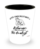 Tax Analyst Shotglass Never Underestimate A Woman Who Is Also A Tax Analyst Shot Glass