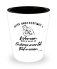 Environmental Technician Shotglass Never Underestimate A Woman Who Is Also An Environmental Tech Shot Glass