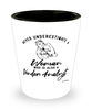 Vendor Analyst Shotglass Never Underestimate A Woman Who Is Also A Vendor Analyst Shot Glass