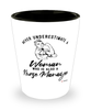 Nurse Manager Shotglass Never Underestimate A Woman Who Is Also A Nurse Manager Shot Glass