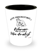 Video Analyst Shotglass Never Underestimate A Woman Who Is Also A Video Analyst Shot Glass