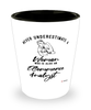 eCommerce Analyst Shotglass Never Underestimate A Woman Who Is Also An ECommerce Analyst Shot Glass