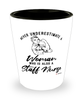 Staff Nurse Shotglass Never Underestimate A Woman Who Is Also A Staff Nurse Shot Glass
