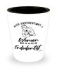 Endodontist Shotglass Never Underestimate A Woman Who Is Also An Endodontist Shot Glass