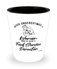 Food Service Director Shotglass Never Underestimate A Woman Who Is Also A Food Service Director Shot Glass