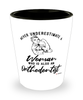 Orthodontist Shotglass Never Underestimate A Woman Who Is Also An Orthodontist Shot Glass