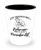 Periodontist Shotglass Never Underestimate A Woman Who Is Also A Periodontist Shot Glass