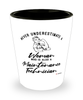 Maintenance Technician Shotglass Never Underestimate A Woman Who Is Also A Maintenance Tech Shot Glass