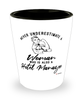 Hotel Manager Shotglass Never Underestimate A Woman Who Is Also A Hotel Manager Shot Glass