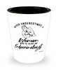 Endocrinologist Shotglass Never Underestimate A Woman Who Is Also An Endocrinologist Shot Glass