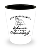 Epidemiologist Shotglass Never Underestimate A Woman Who Is Also An Epidemiologist Shot Glass