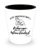 Gastroenterologist Shotglass Never Underestimate A Woman Who Is Also A Gastroenterologist Shot Glass