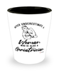 Geriatrician Shotglass Never Underestimate A Woman Who Is Also A Geriatrician Shot Glass