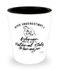 National Sales Manager Shotglass Never Underestimate A Woman Who Is Also A National Sales Manager Shot Glass