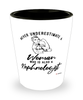 Nephrologist Shotglass Never Underestimate A Woman Who Is Also A Nephrologist Shot Glass