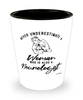 Neurologist Shotglass Never Underestimate A Woman Who Is Also A Neurologist Shot Glass