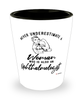 Ophthalmologist Shotglass Never Underestimate A Woman Who Is Also An Ophthalmologist Shot Glass