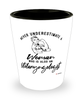 Otolaryngologist Shotglass Never Underestimate A Woman Who Is Also An ENT Shot Glass