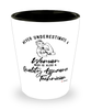 Quality Assurance Technician Shotglass Never Underestimate A Woman Who Is Also A Quality Assurance Tech Shot Glass