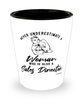 Sales Director Shotglass Never Underestimate A Woman Who Is Also A Sales Director Shot Glass