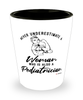 Pediatrician Shotglass Never Underestimate A Woman Who Is Also A Pediatrician Shot Glass