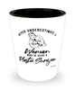 Plastic Surgeon Shotglass Never Underestimate A Woman Who Is Also A Plastic Surgeon Shot Glass