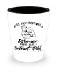 Contract Pilot Shotglass Never Underestimate A Woman Who Is Also A Contract Pilot Shot Glass