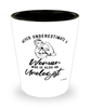 Urologist Shotglass Never Underestimate A Woman Who Is Also An Urologist Shot Glass