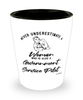 Government Service Pilot Shotglass Never Underestimate A Woman Who Is Also A Government Service Pilot Shot Glass
