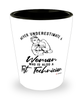 Test Technician Shotglass Never Underestimate A Woman Who Is Also A Test Tech Shot Glass