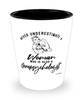 Geropsychologist Shotglass Never Underestimate A Woman Who Is Also A Geropsychologist Shot Glass
