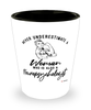 Neuropsychologist Shotglass Never Underestimate A Woman Who Is Also A Neuropsychologist Shot Glass
