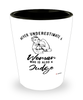 Judge Shotglass Never Underestimate A Woman Who Is Also A Judge Shot Glass